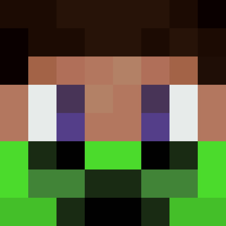 BukkitAPI's skin