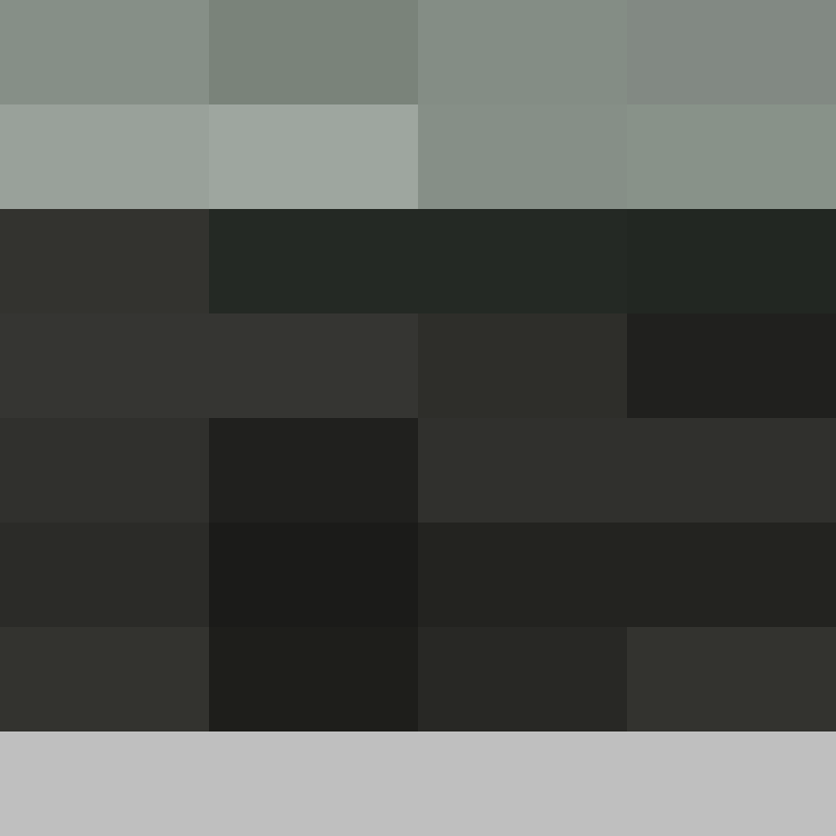 Yeleha's skin