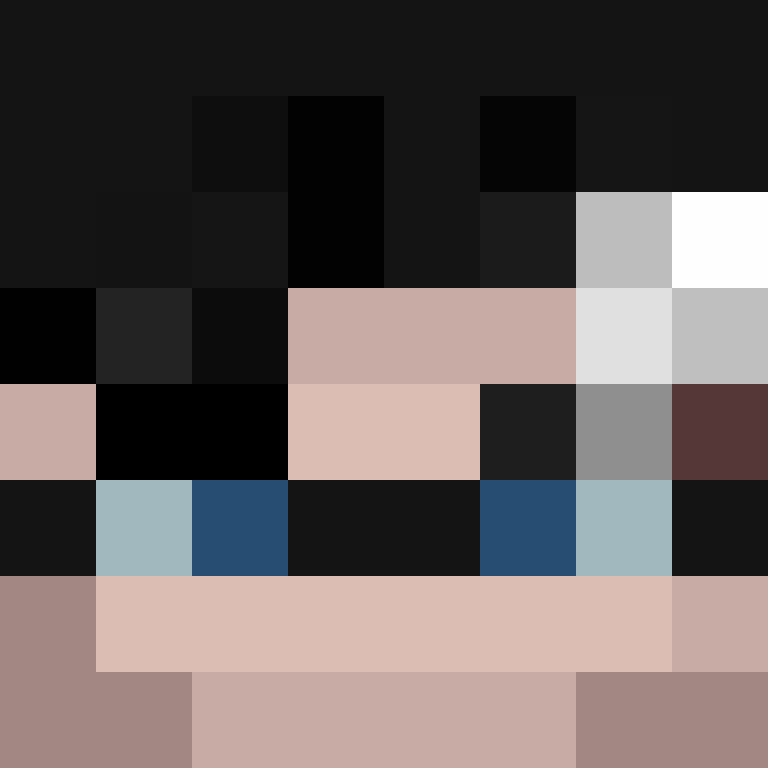 BukkitAPI's skin