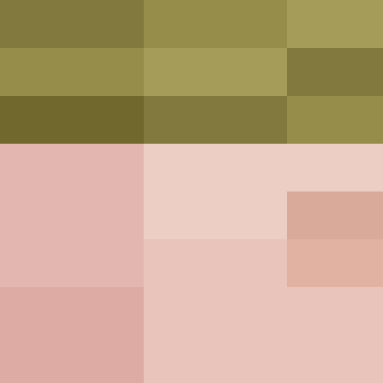 CeilingBird's skin
