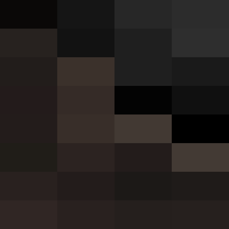 acin5's skin