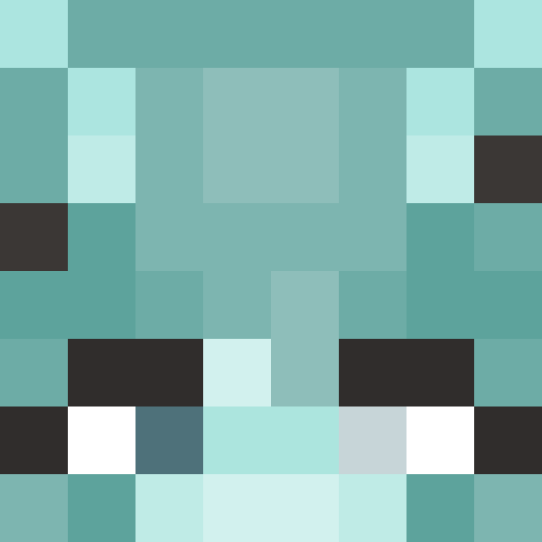 Nilient's skin