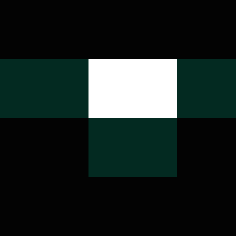acin5's skin