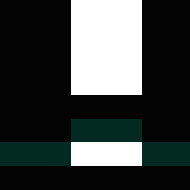 v4r1n's skin