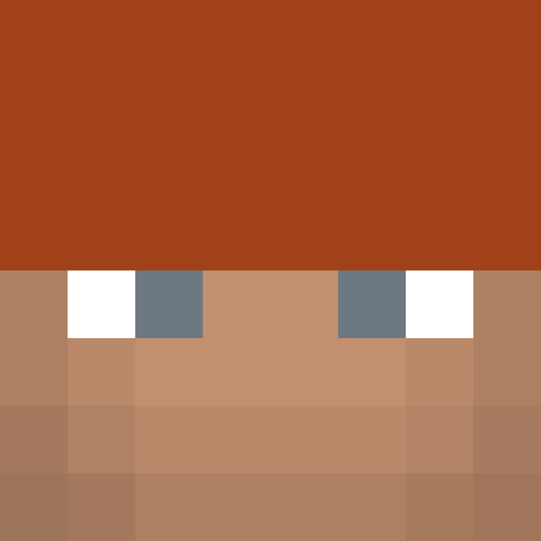 CeilingBird's skin