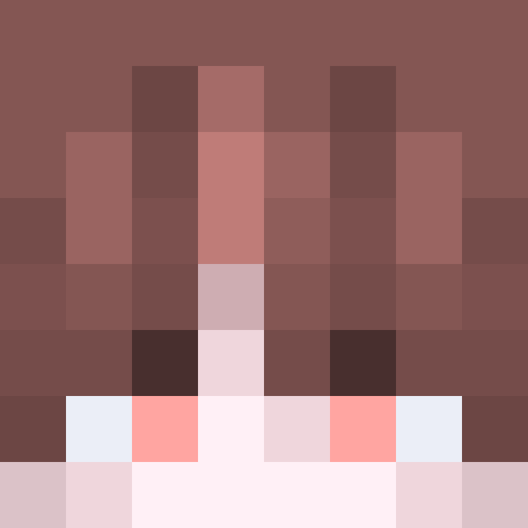 8aca680b22461340's skin