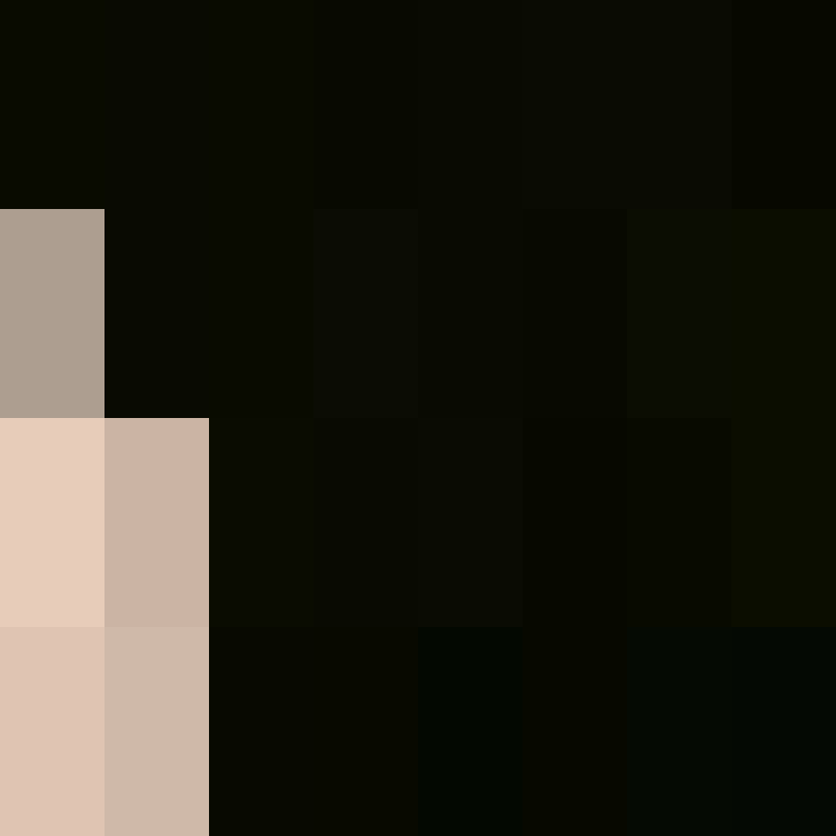 _pakman_'s skin