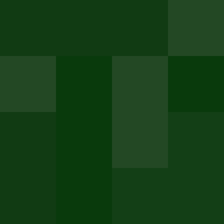 dragloner's skin