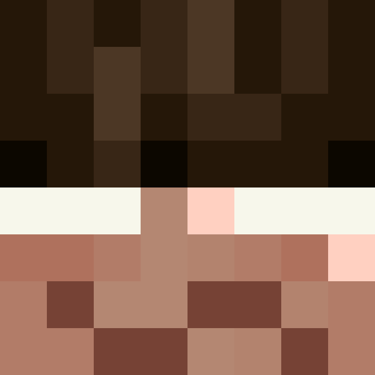 BradBot_2's skin