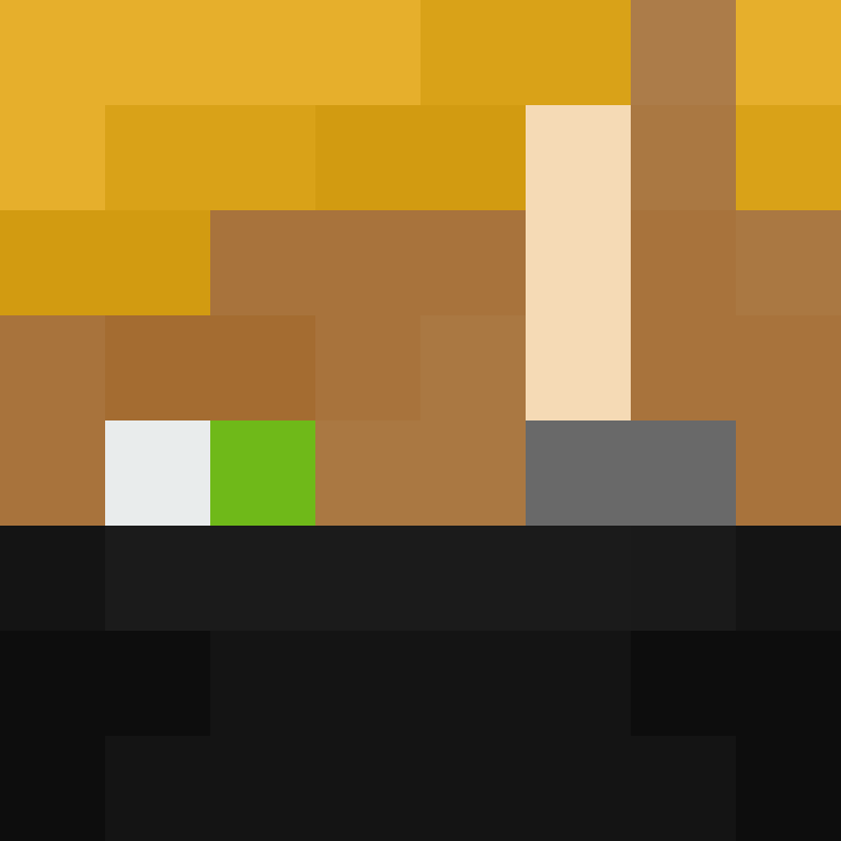 DonaldTrump42's skin