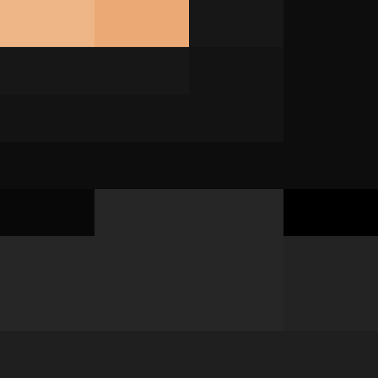 BukkitAPI's skin