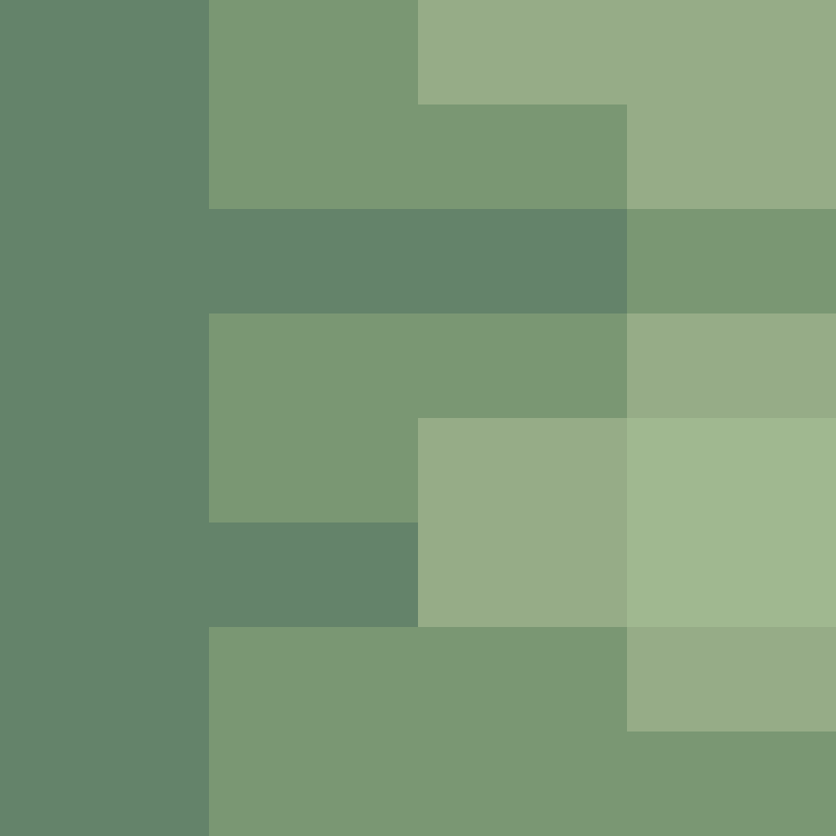 AutoSkin's skin
