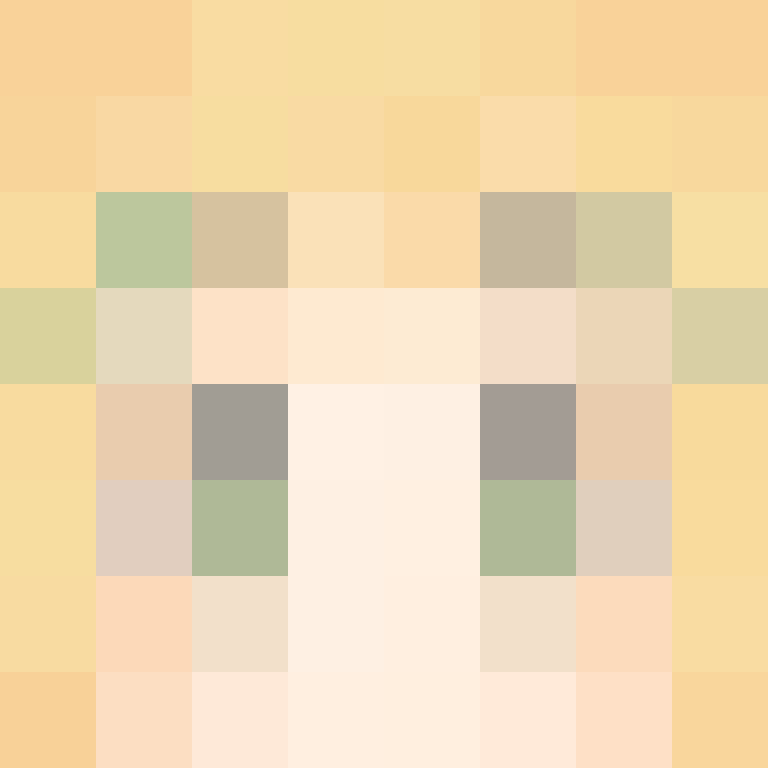 CeilingBird's skin