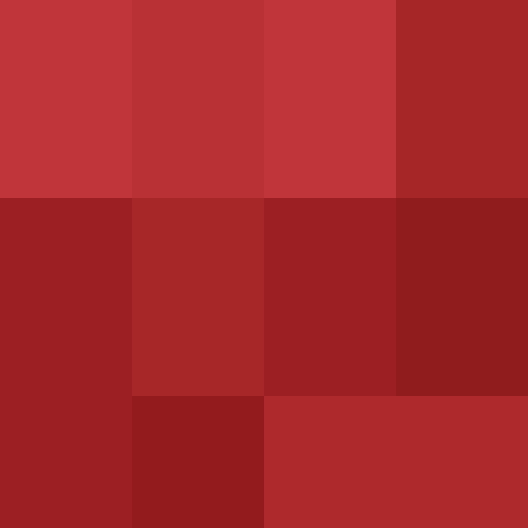 BradBot_2's skin