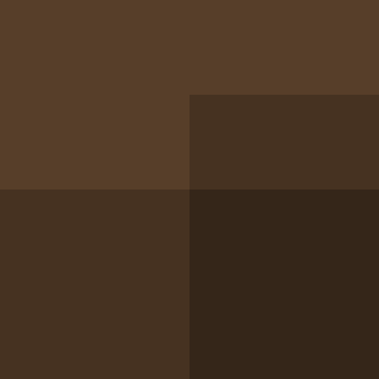 ElectronicSex's skin