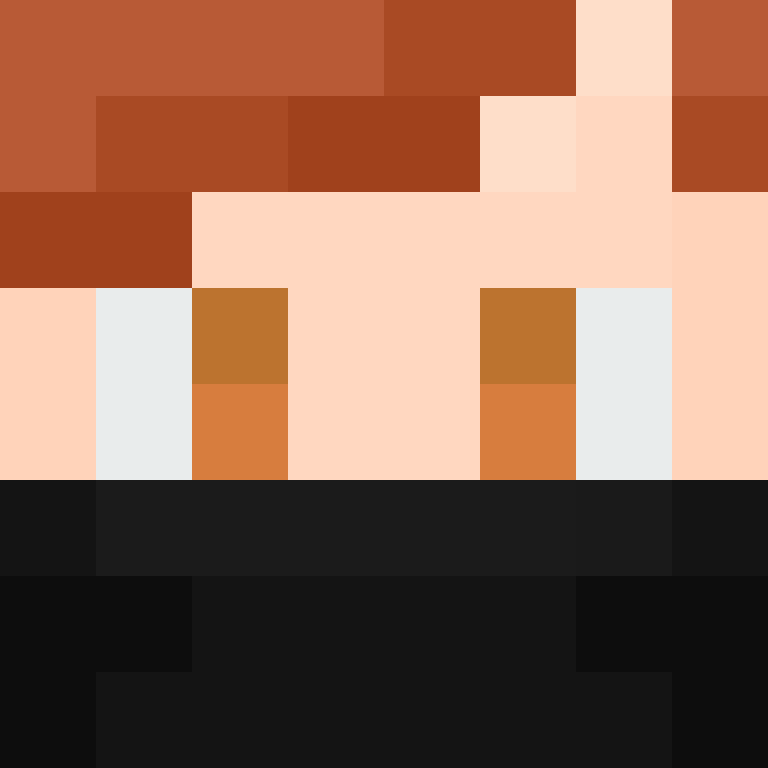 BukkitAPI's skin