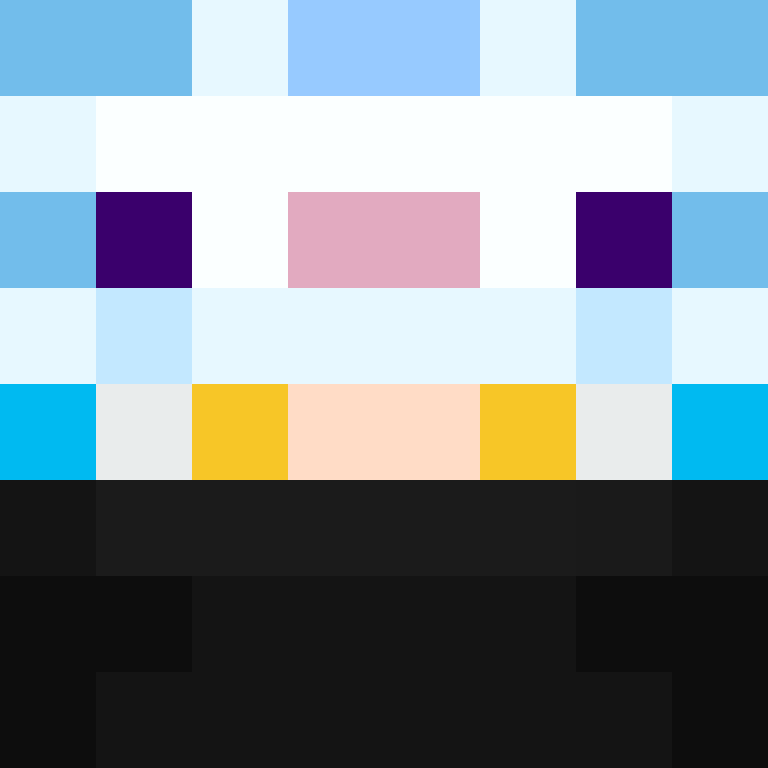 CeilingBird's skin