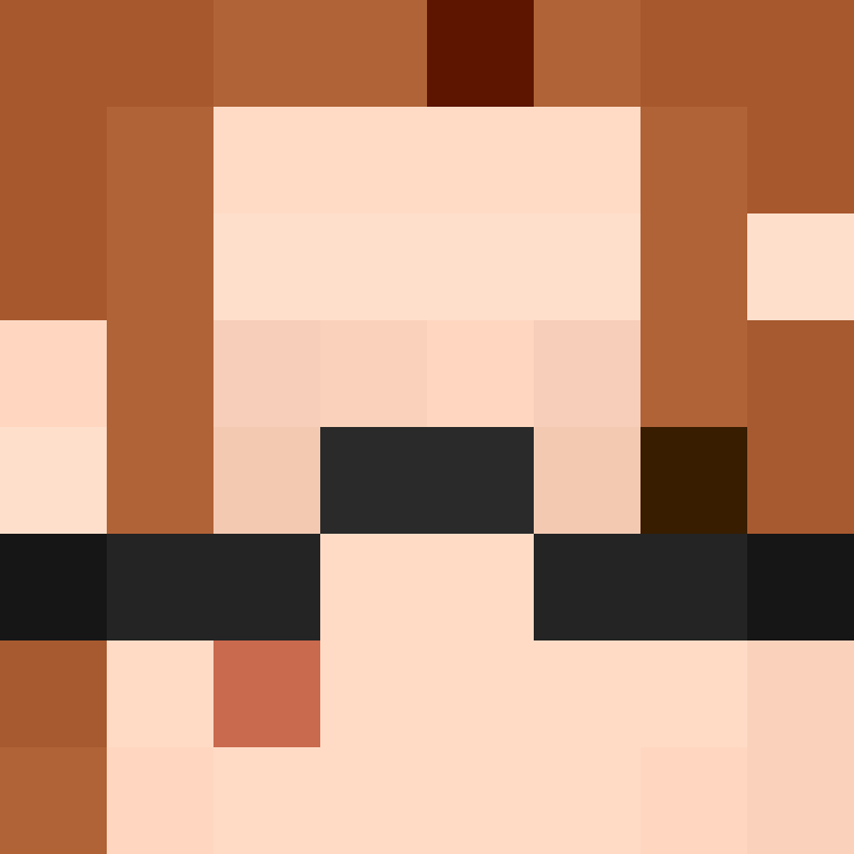 8aca680b22461340's skin