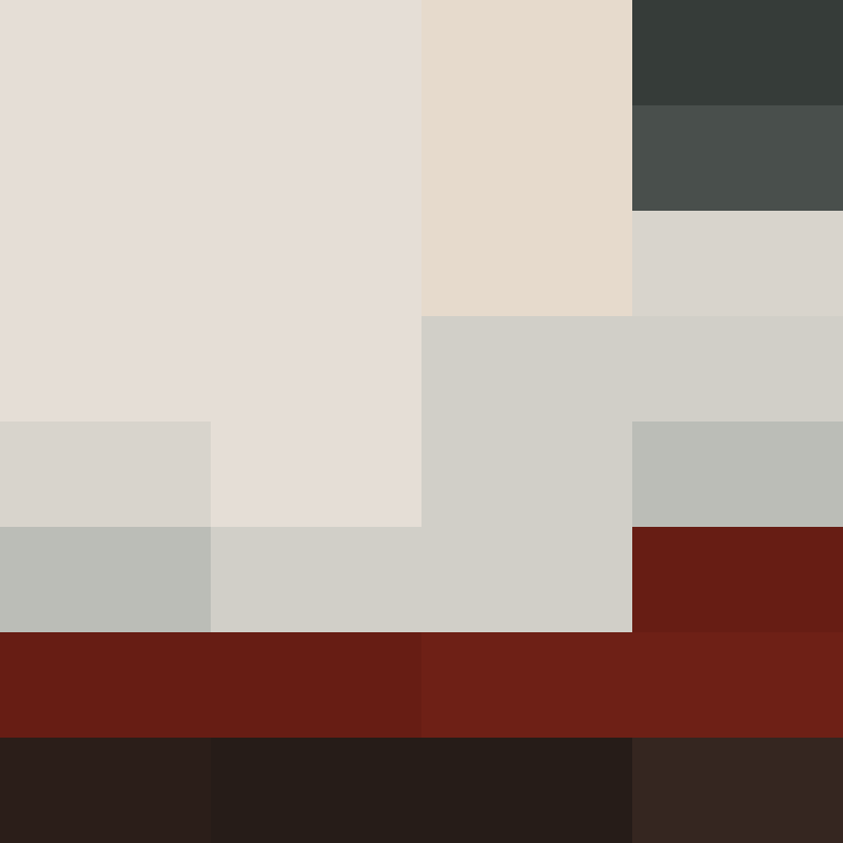 PtakopyskCZ's skin