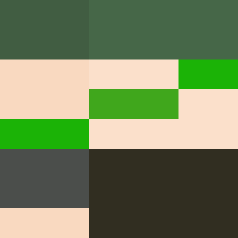 dragloner's skin