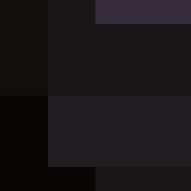 BukkitAPI's skin