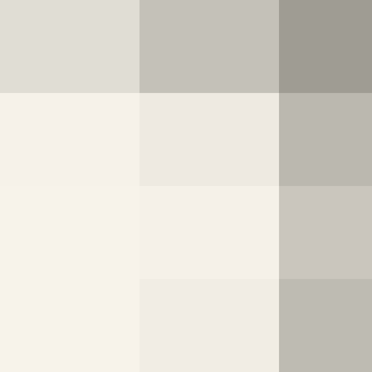 odavidcesar's skin
