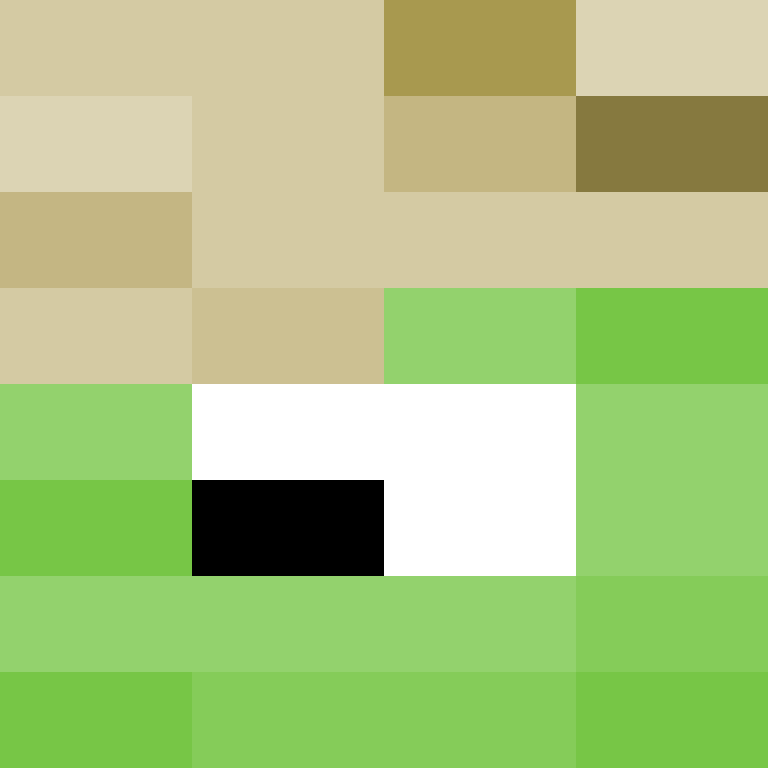 executory's skin