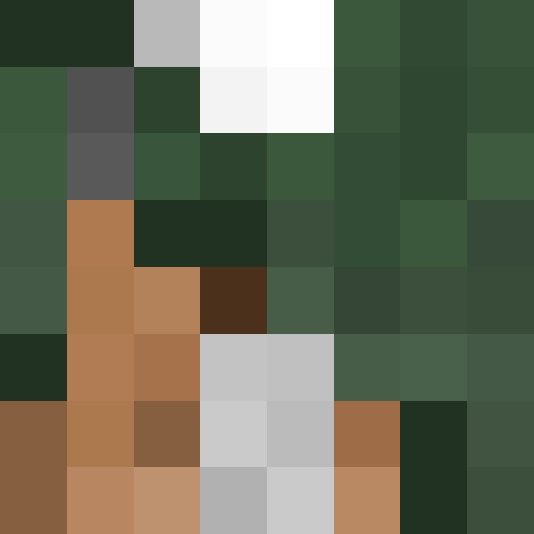 BukkitAPI's skin