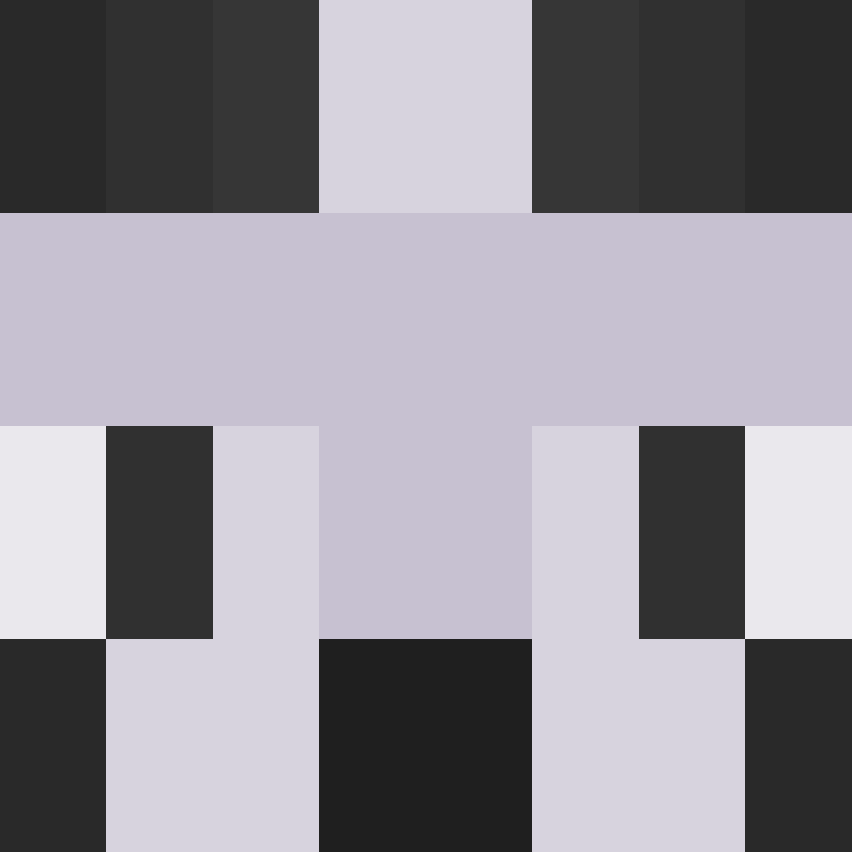 xX_No_Income_Xx's skin