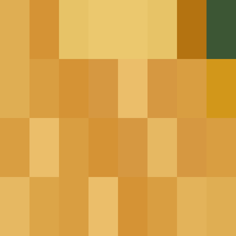 executory's skin