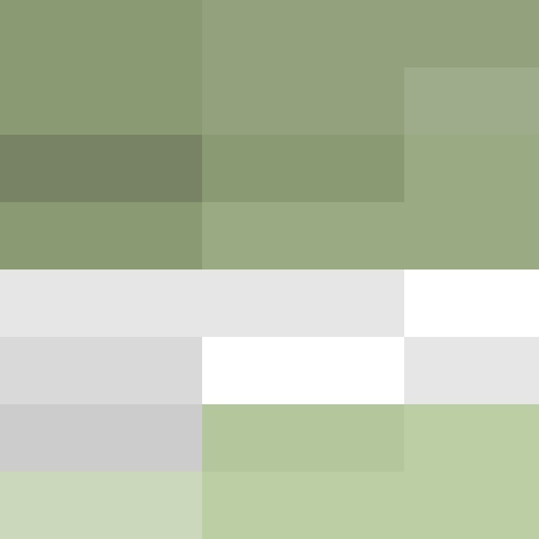 XenokratesRitva's skin