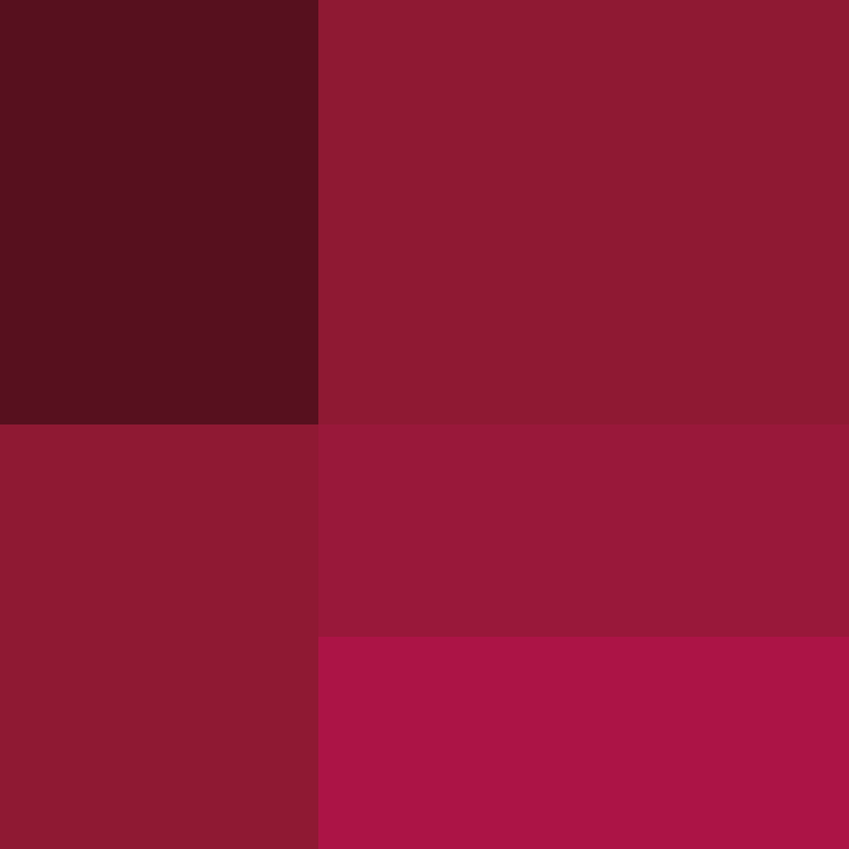 CeilingBird's skin