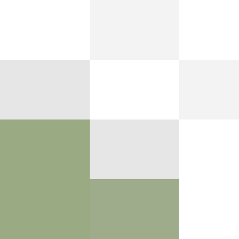 GeyserMC's skin