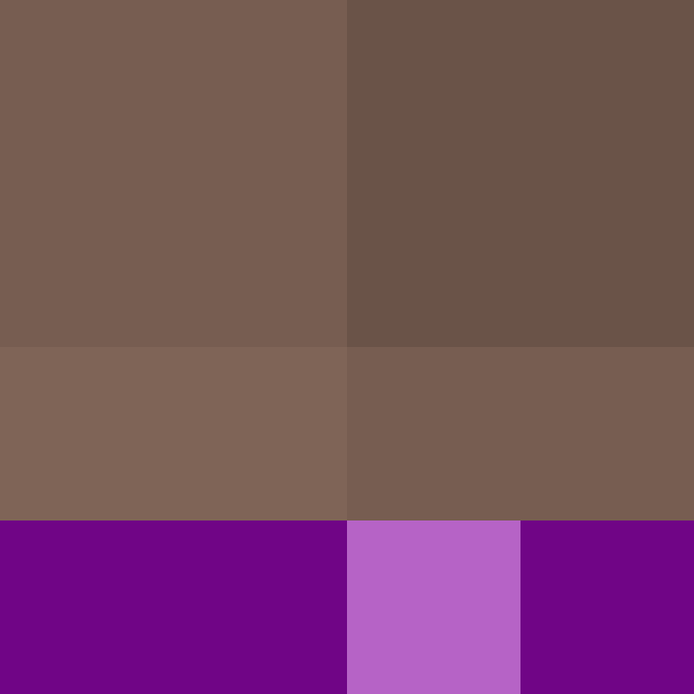 hpyef's skin