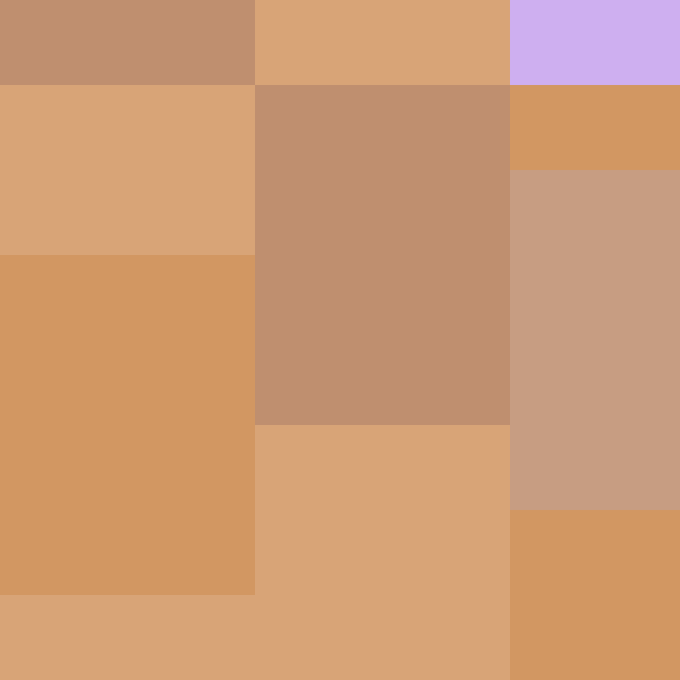 Cartizoll's skin