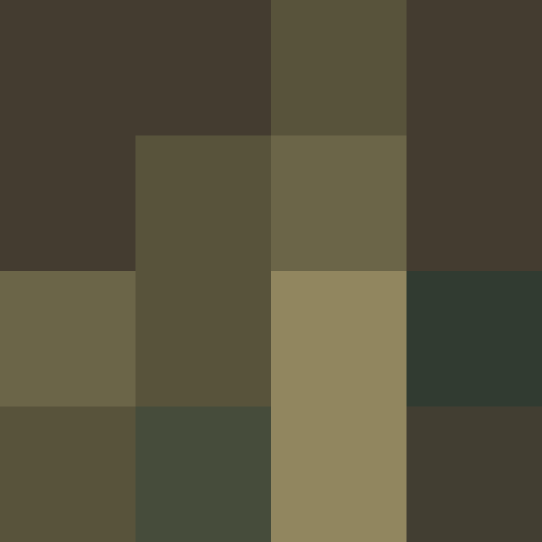 dragloner's skin
