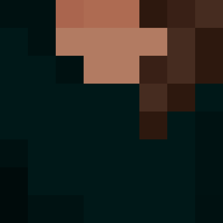 Auntbrix's skin