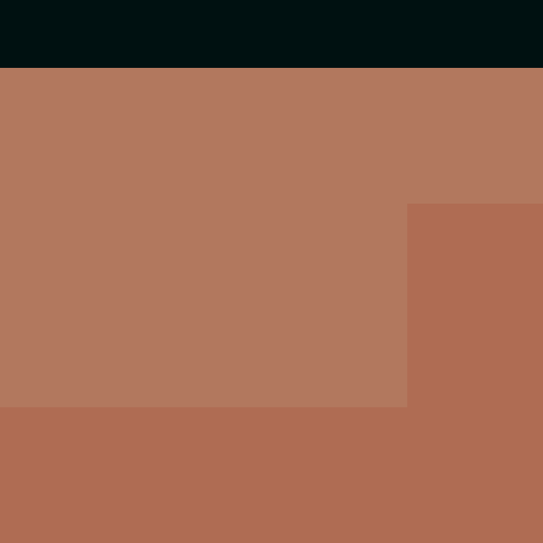 MolesLLC's skin