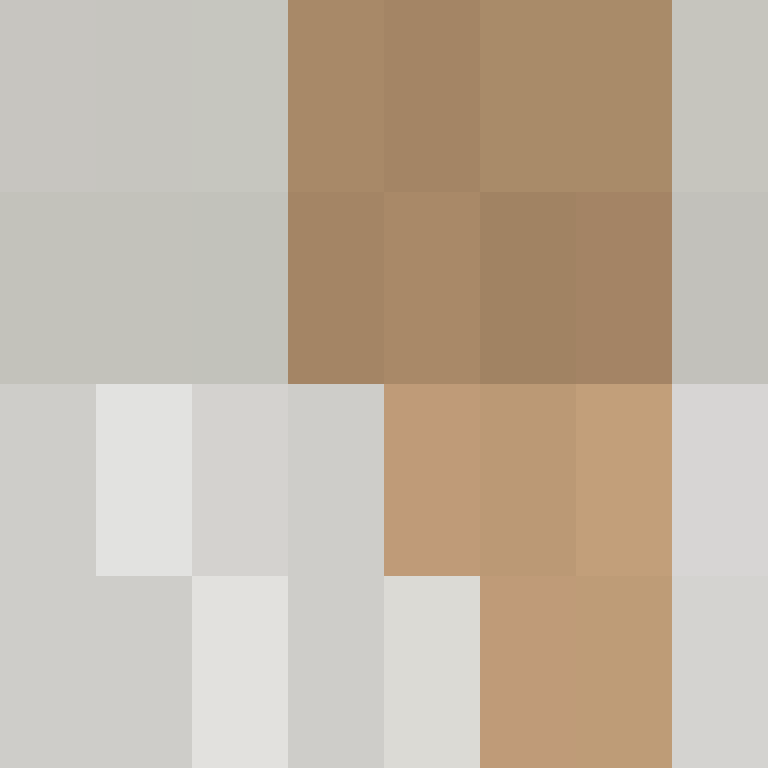 BukkitAPI's skin