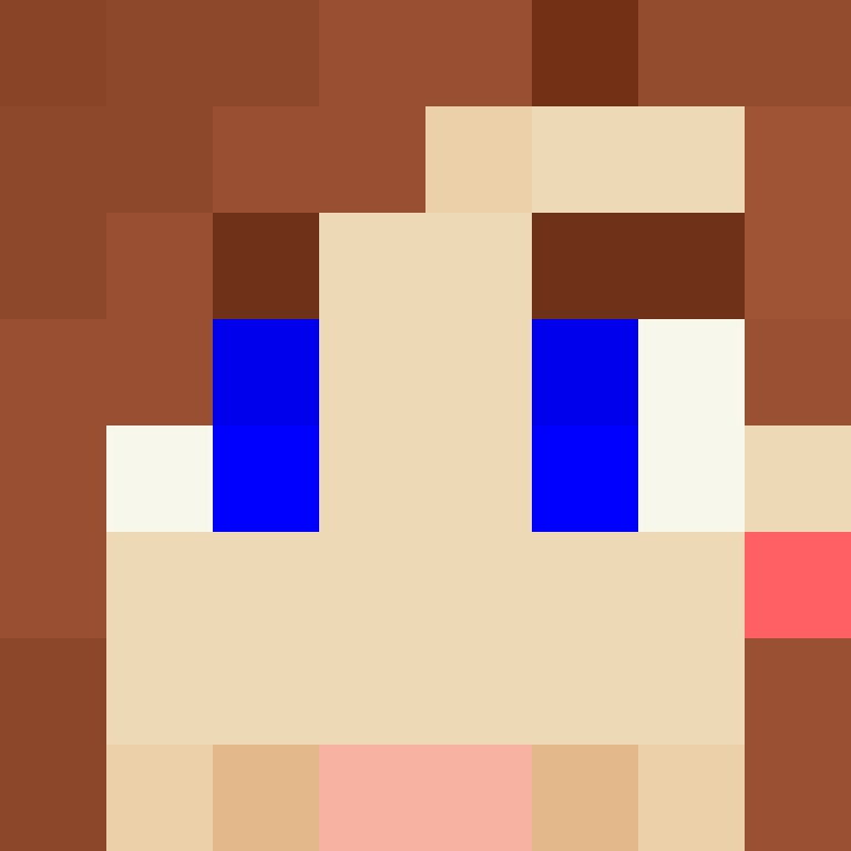 8aca680b22461340's skin