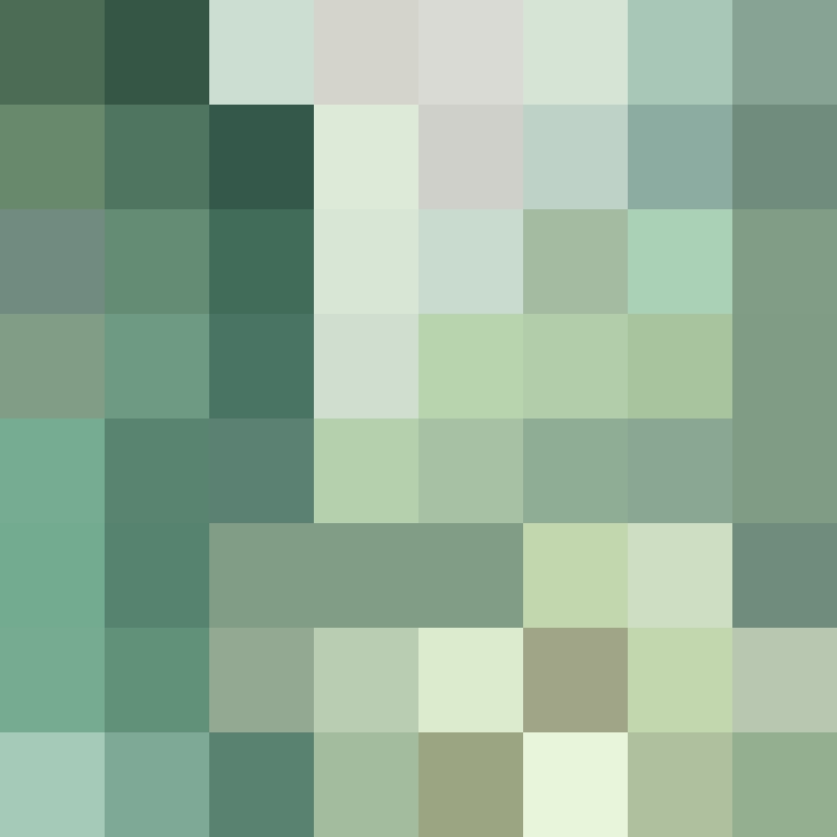 Notro_Client's skin