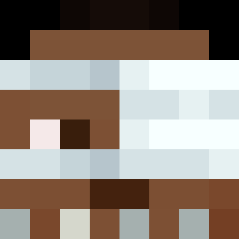 AutoSkin's skin