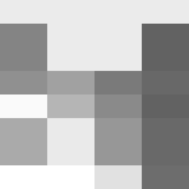 deminecrafterlol's skin