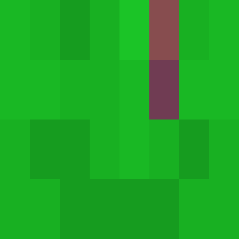 v4r1n's skin