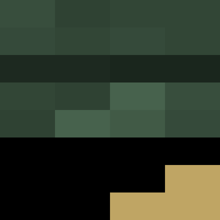HarolotWarlot's skin
