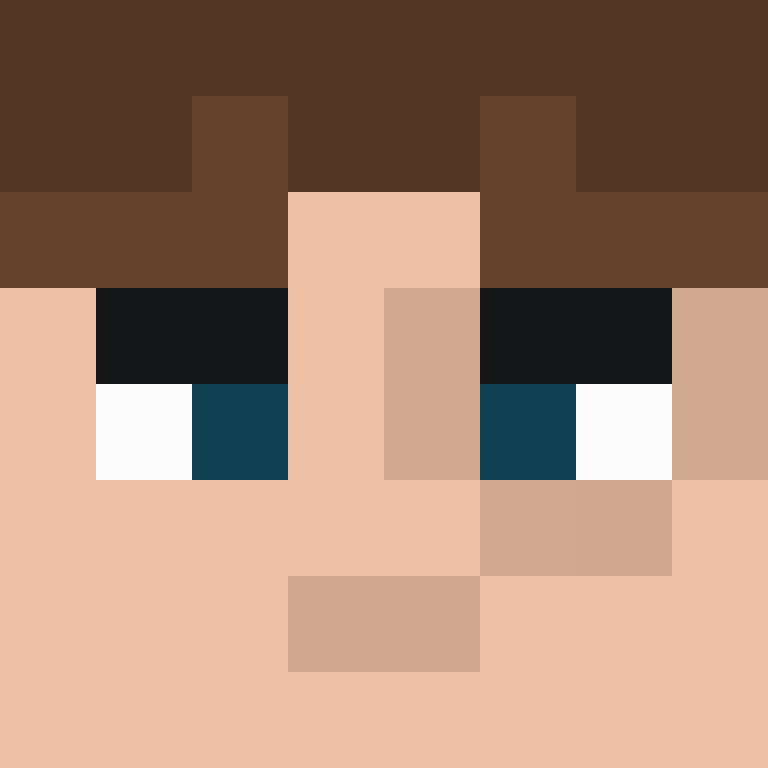 8aca680b22461340's skin