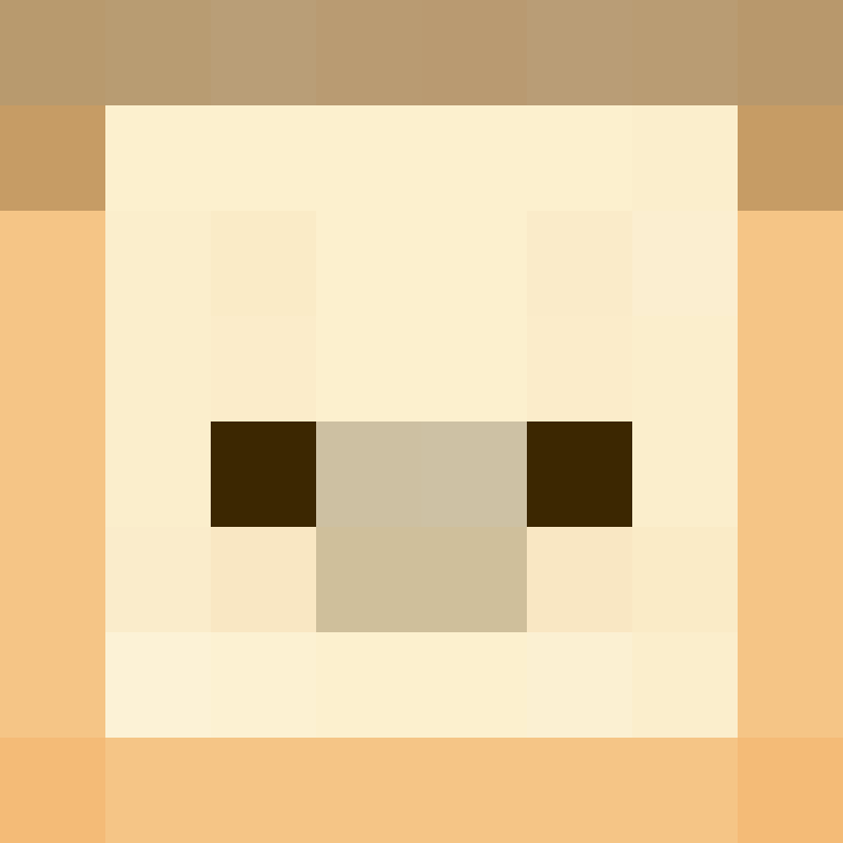 xX_No_Income_Xx's skin