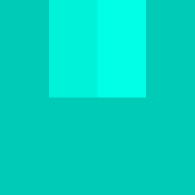 WebNX's skin