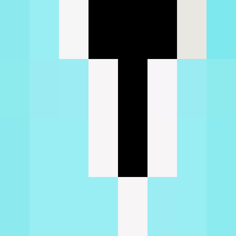 BukkitAPI's skin