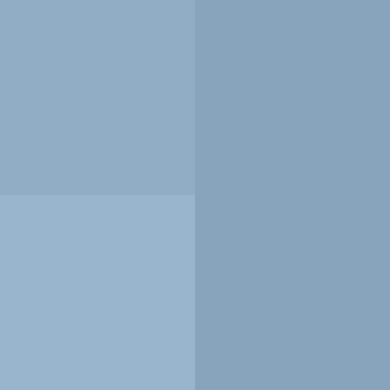 BradBot_2's skin